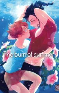 Inazuma Eleven GO dj - The burn of summer