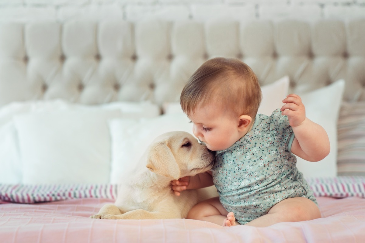 Baby kissing tiny puppy