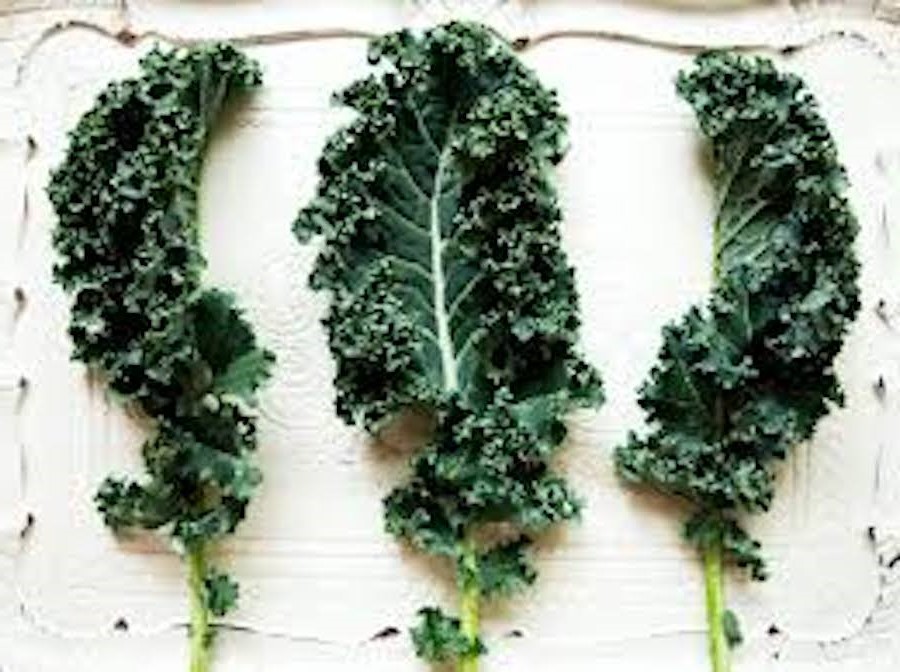 Kale | 10 Foods With Almost Zero Calories | Her Beauty