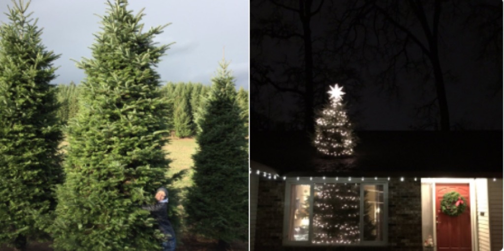 Christmas tree shooting through roof