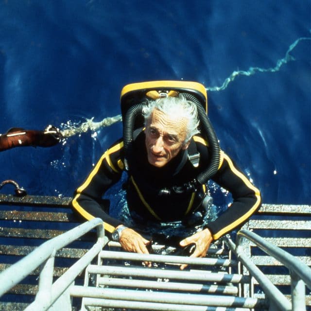 Image result for Jacques-Yves Cousteau