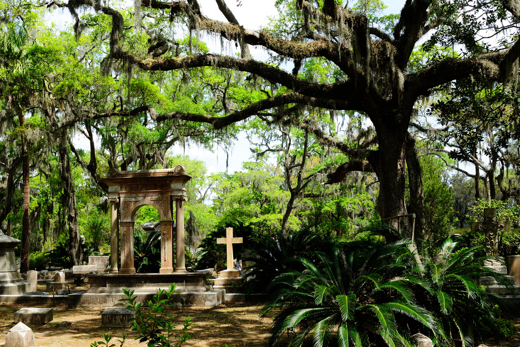 Bonaventure Cemetery Savannah Magical Destinations