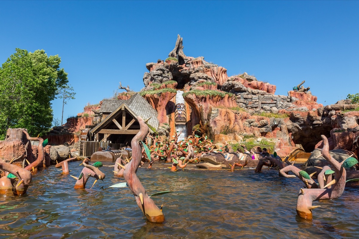 the splash mountain ride front view in disney world orlando