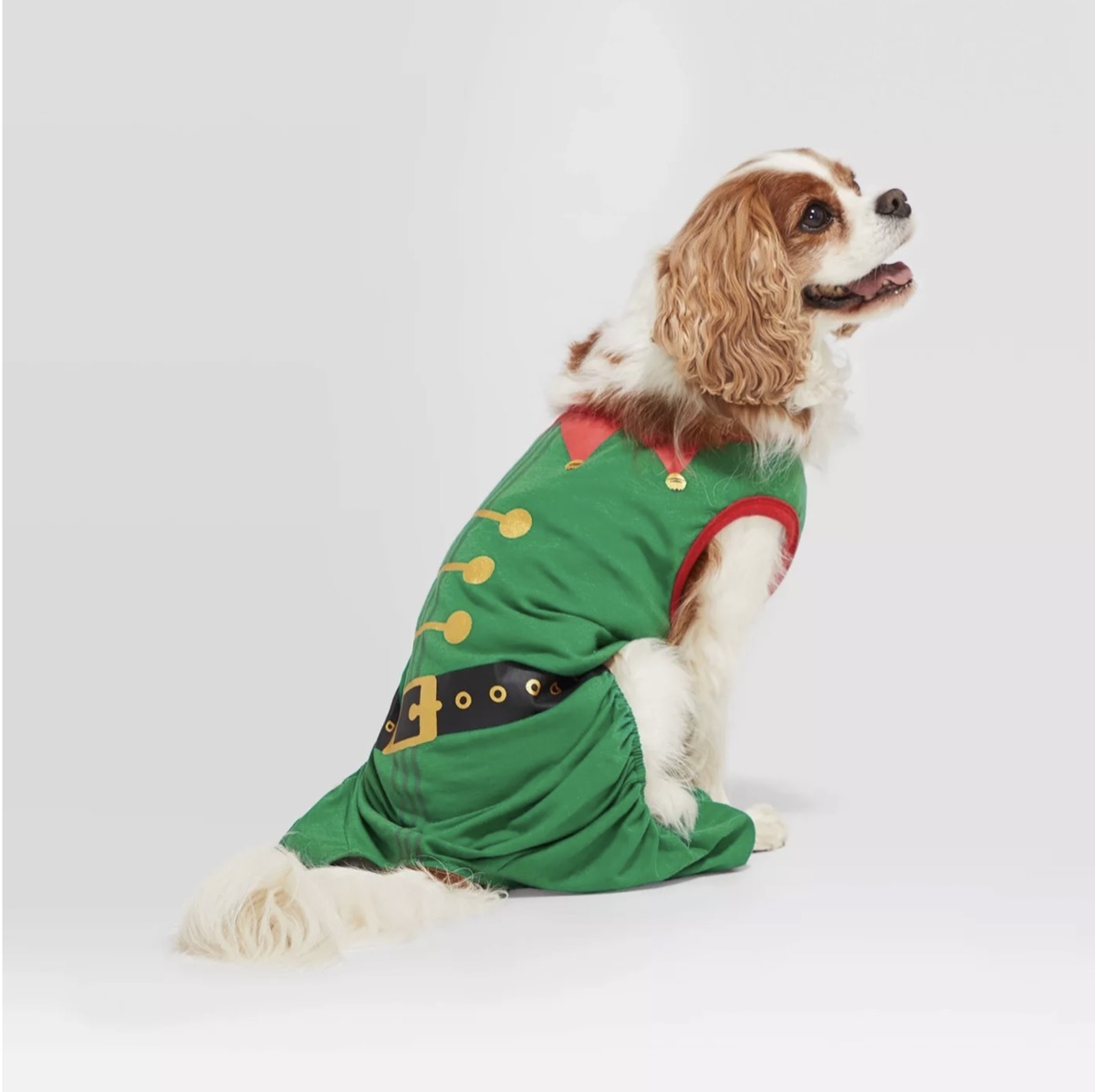 holiday elf pet pajamas