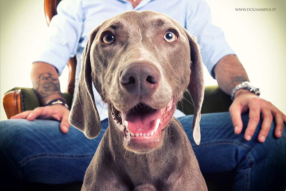 Man with Pet Dog Anti-Aging