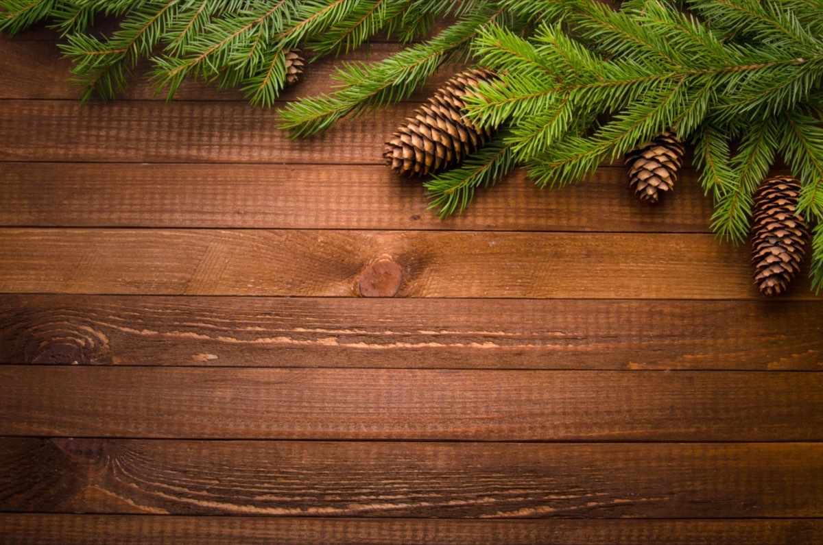 evergreen branches and pinecones on wooden table