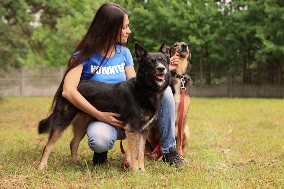 Female volunteer hanging out with dogs from the animal shelter