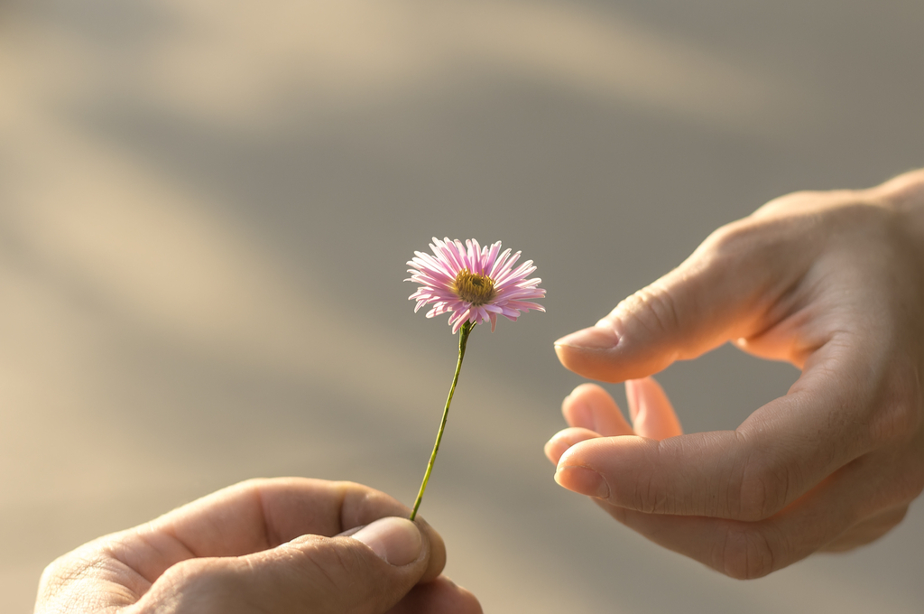 Handing out Flowers Pay it Forward Stories