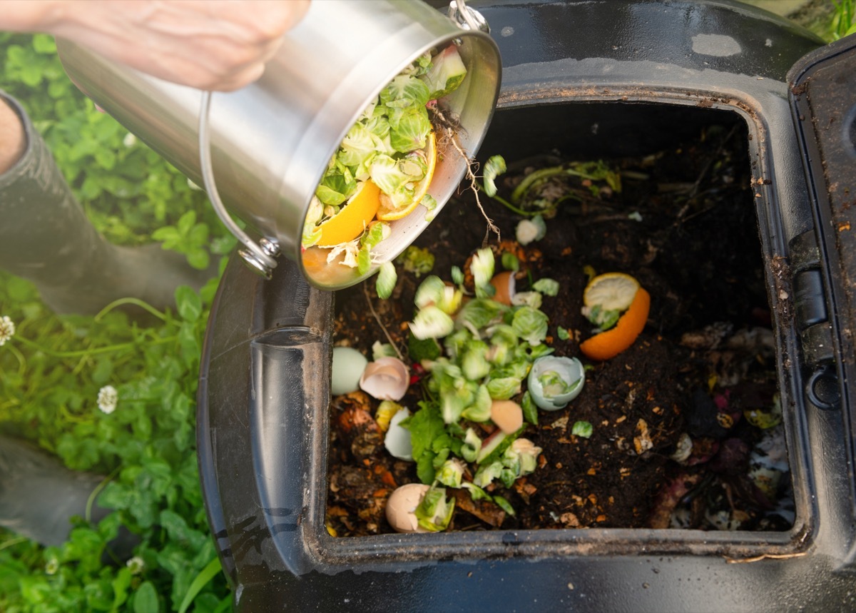 Compost Bin