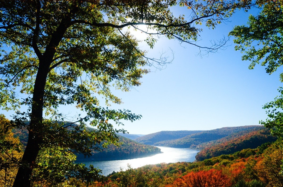 landscape photo of Forest County, Pennsylvania