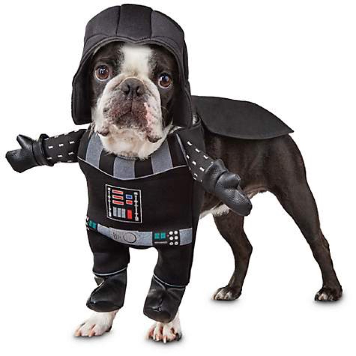 dog in darth vader costume, dog halloween costumes