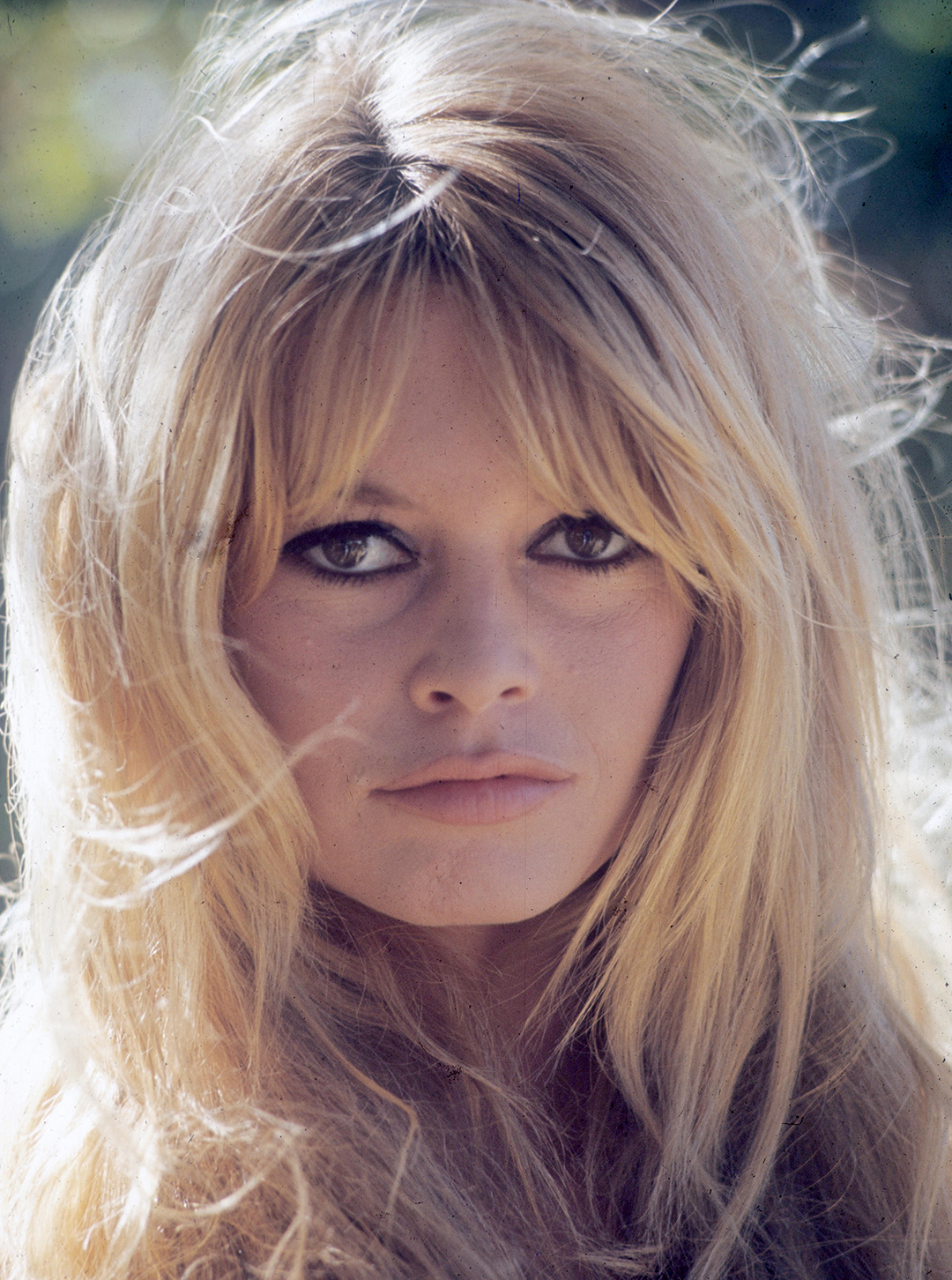 brigitte bardot color photo