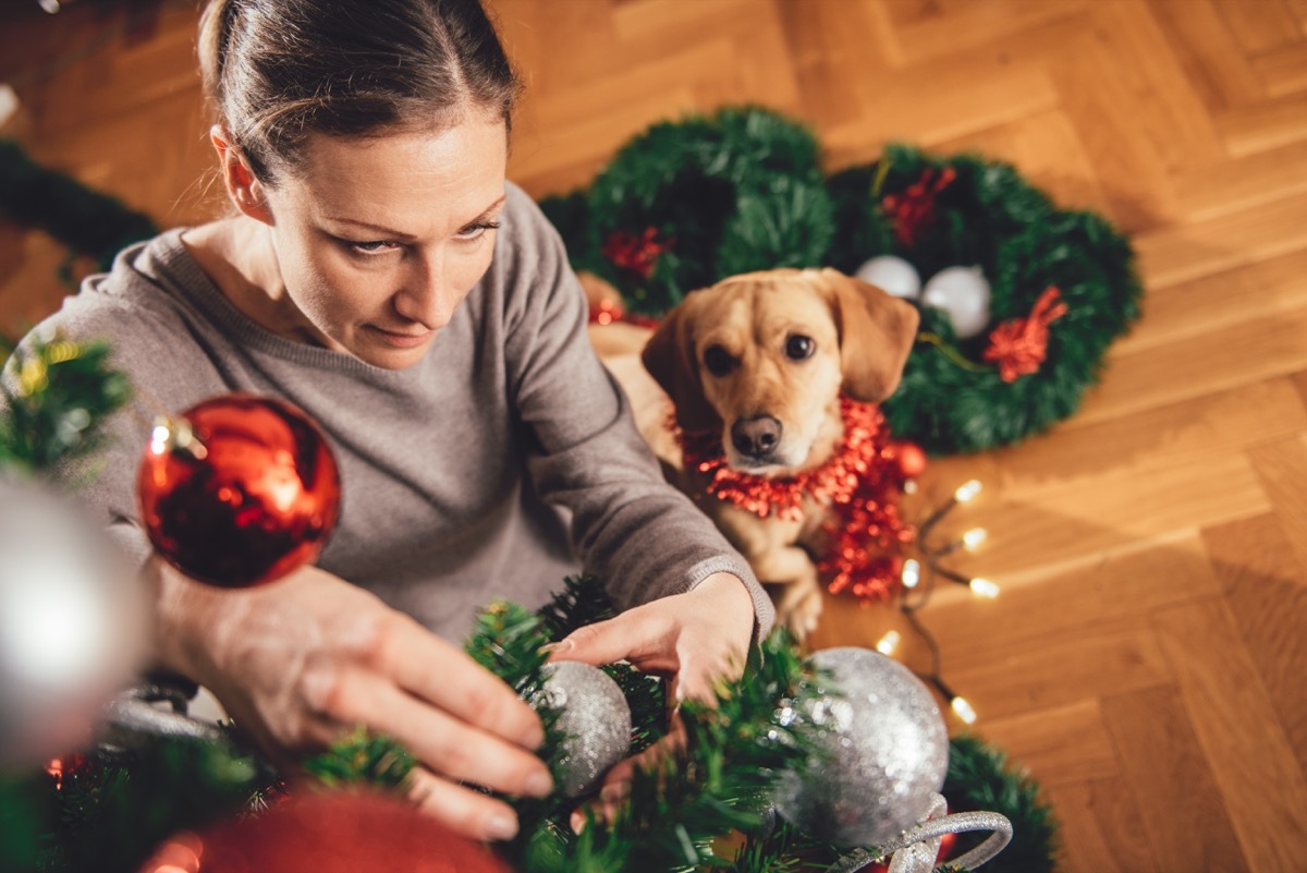 woman decorating christmas tree as her dog looks on