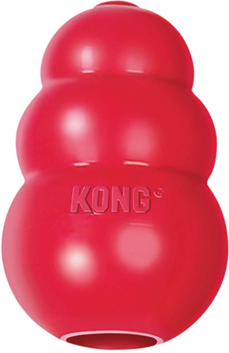 red kong toy, best chew toys for puppies