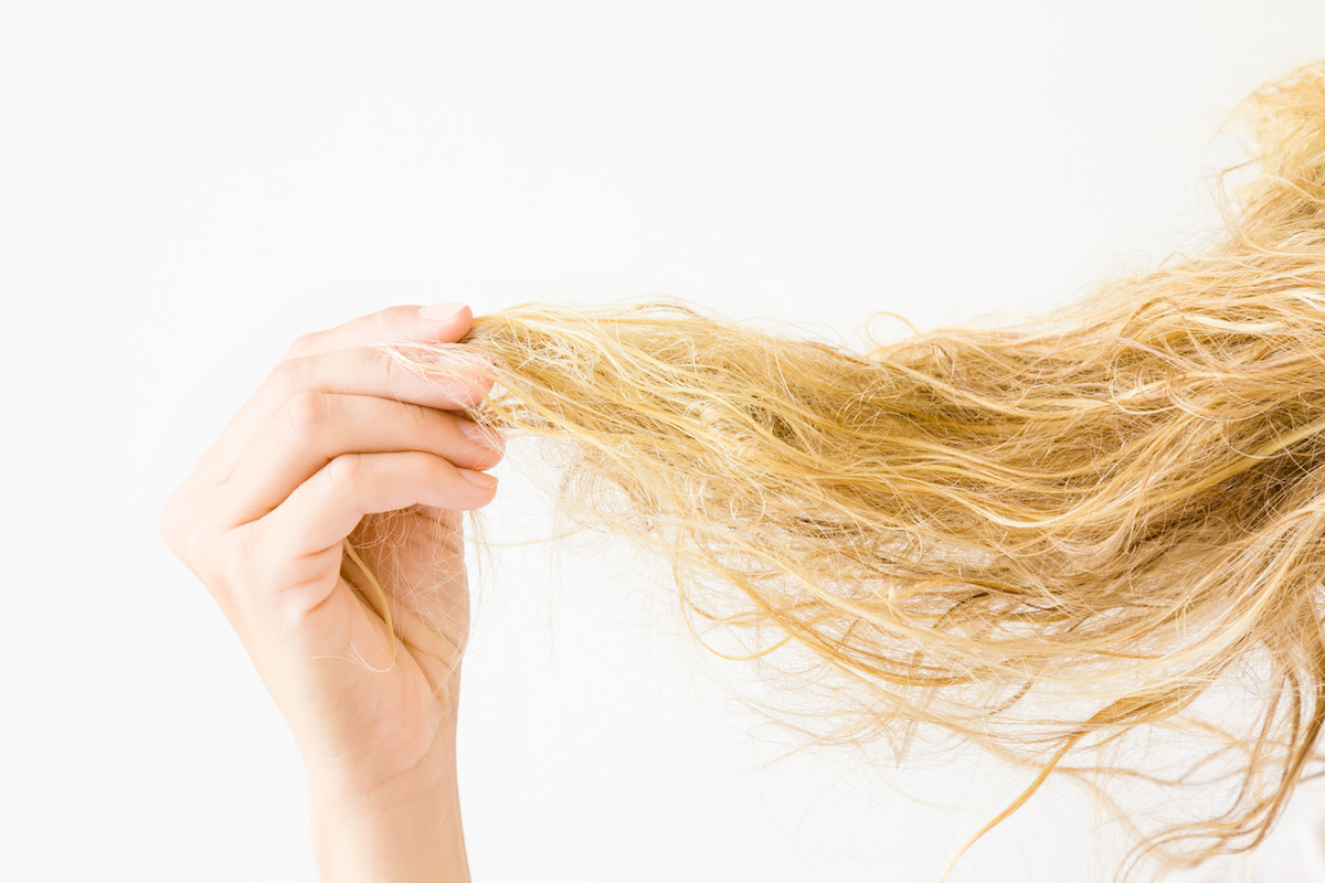 Woman's hand holding wet, blonde, tangled hair after washing on white background. 