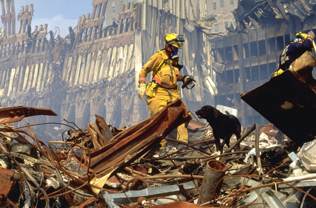 Dogs Who Helped with 9/11 Animals Who Are Real-Life Heroes