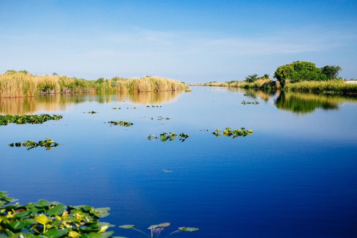 everglades national park florida state natural wonders