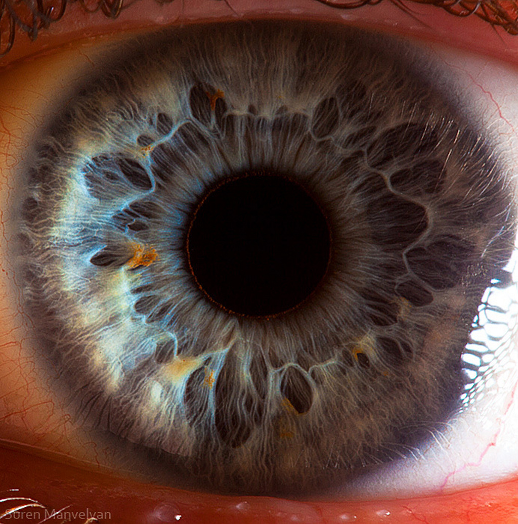 extreme-closeups-of-human-eyes-are-creepy-but-stunning-01