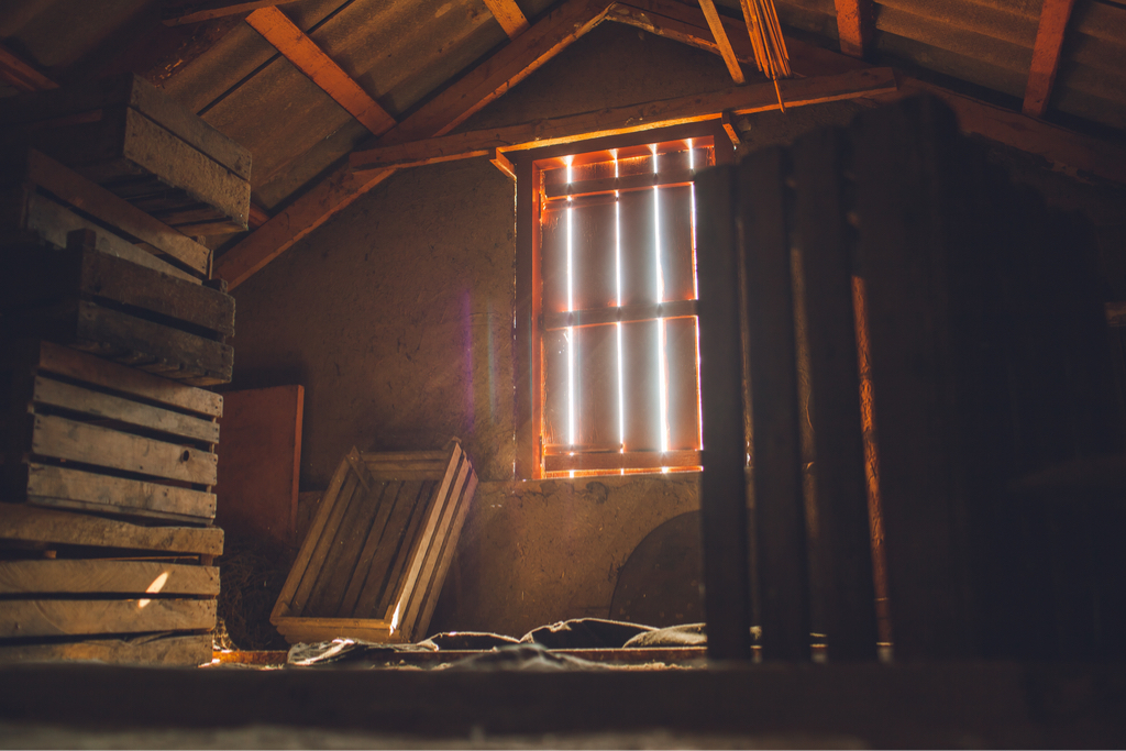 Old Attic Dreams