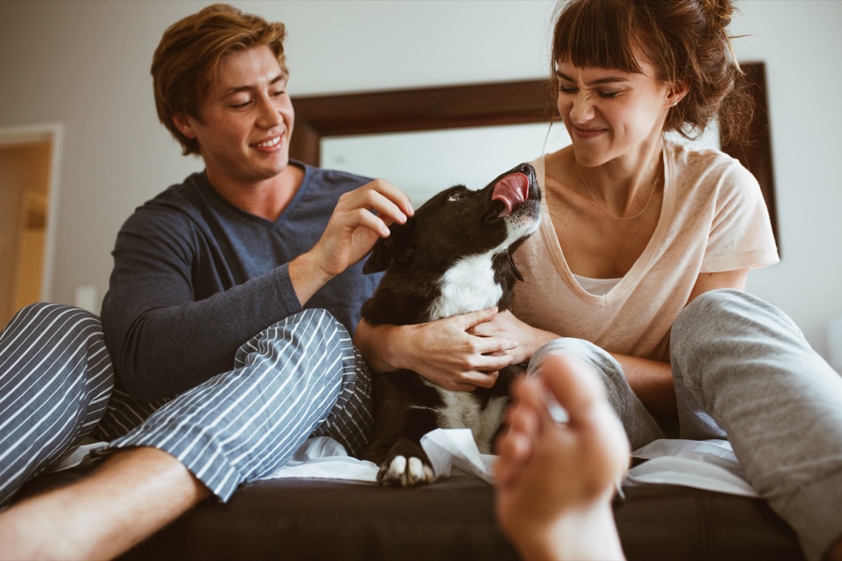 Couple petting puppy