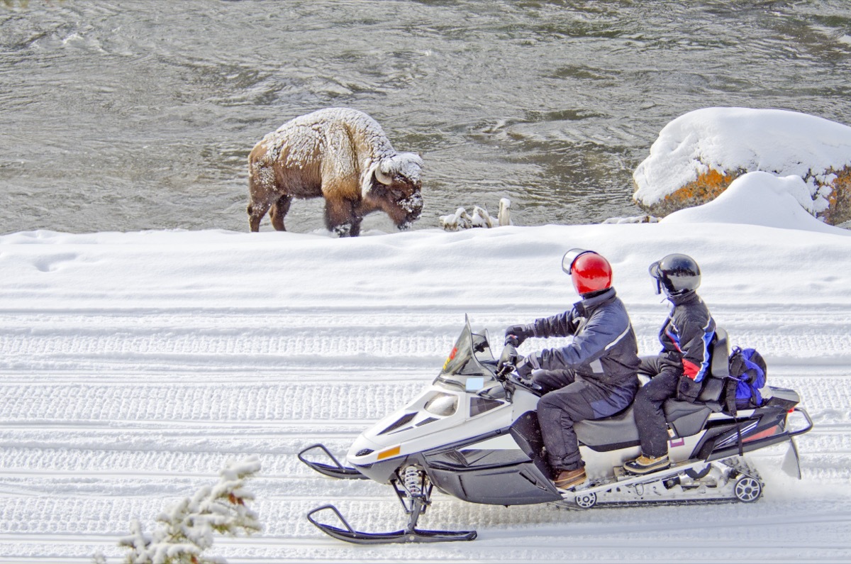 snowmobile yellowstone national park