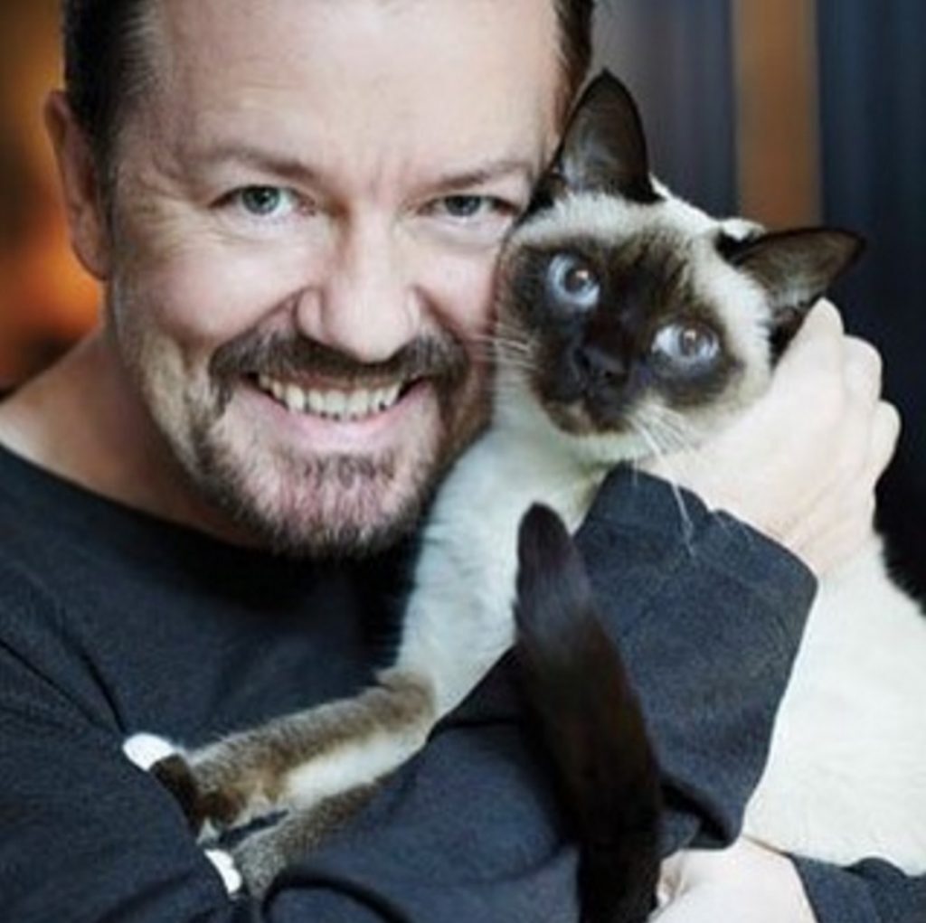 Ricky Gervais celebrities who look like their pets