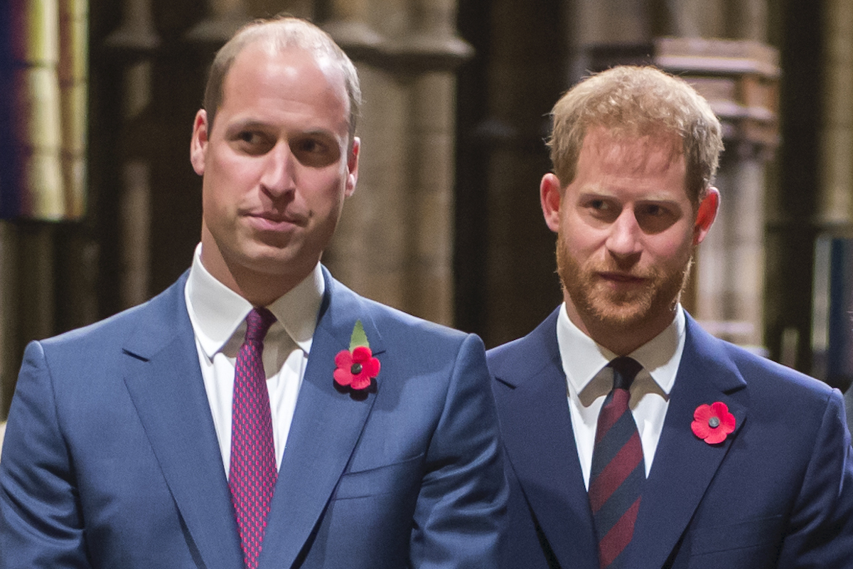 The Duke of Cambridge and the Duke of Sussex at the Westminster Abbey service marking the centenary Of WW1 Armistice