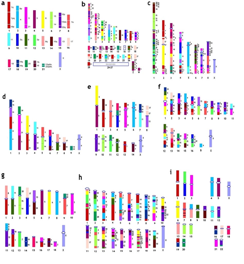 genomes most groundbreaking invention in every state