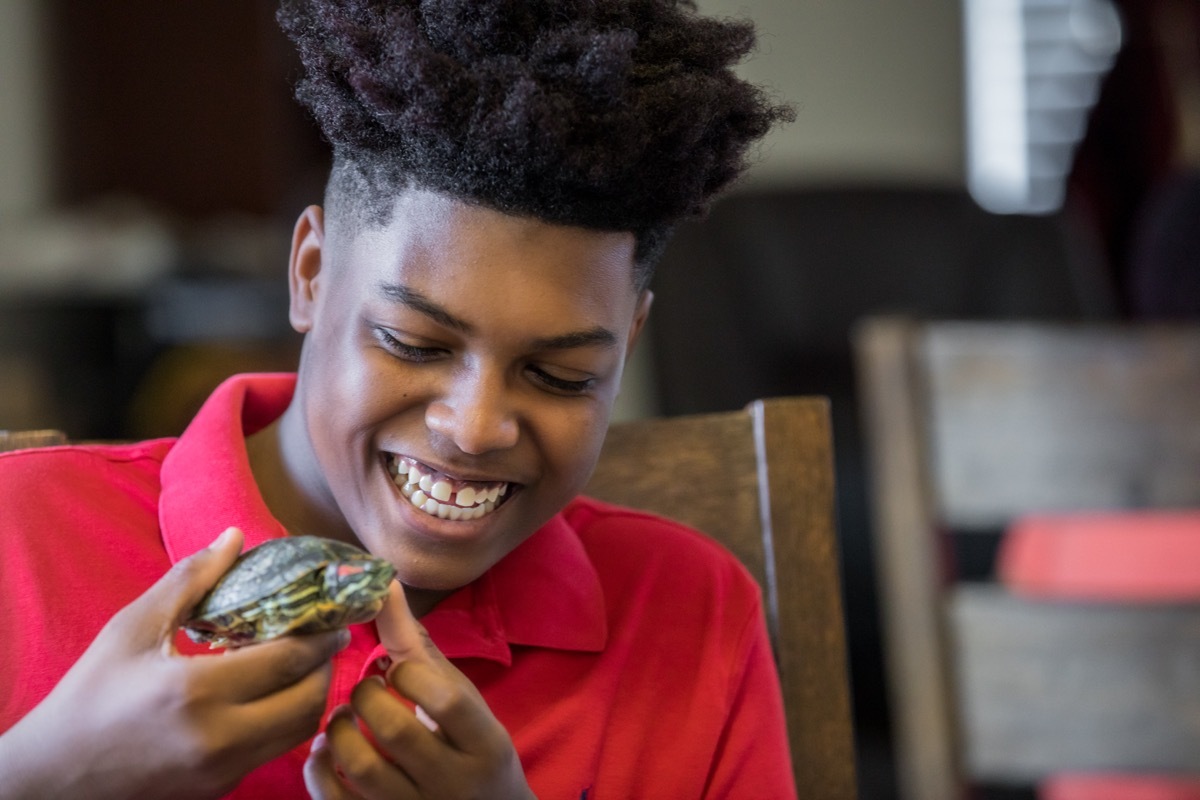 Teenage boy taking care of pet turtle at home