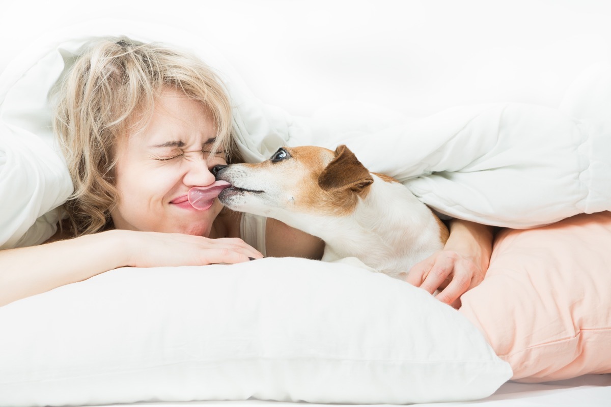 Woman and dog playfully indulge in fun on the bed