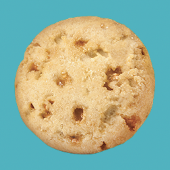 A Girl Scout Toffee-Tastic cookie against a teal background