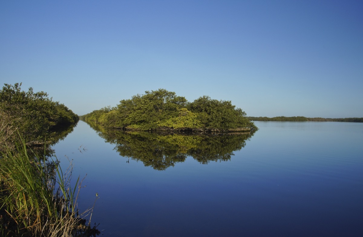 Merritt Island National Wildlife Refuge in Titusville Florida