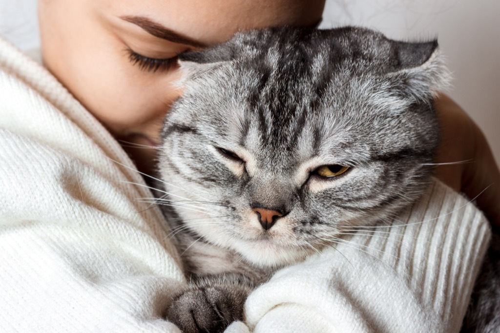 beautiful smiling brunette girl and her cat.