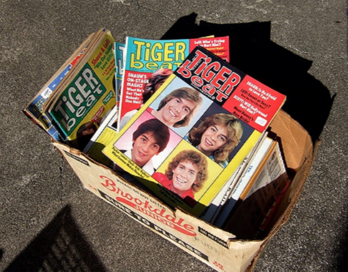 Tiger Beat magazines