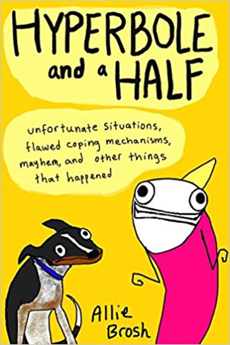 hyperbole and a half 40 funny books