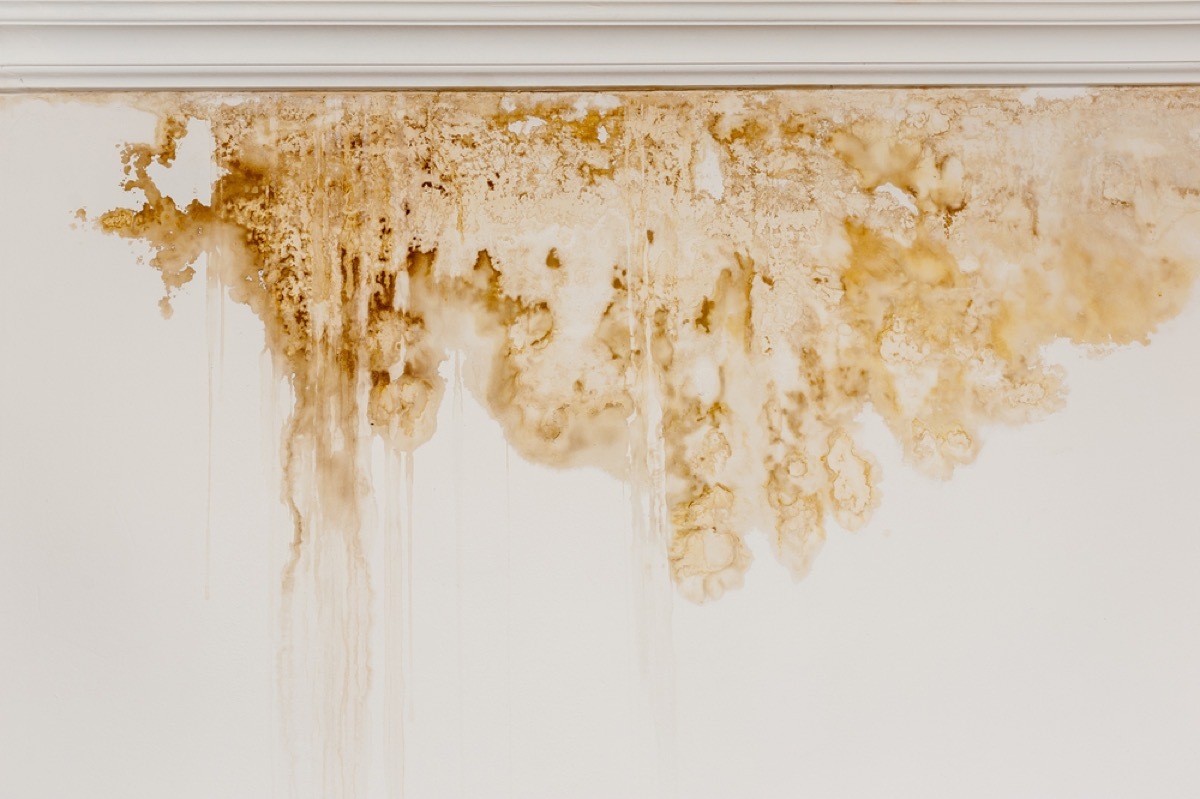 water stain under window, signs your home is falling apart