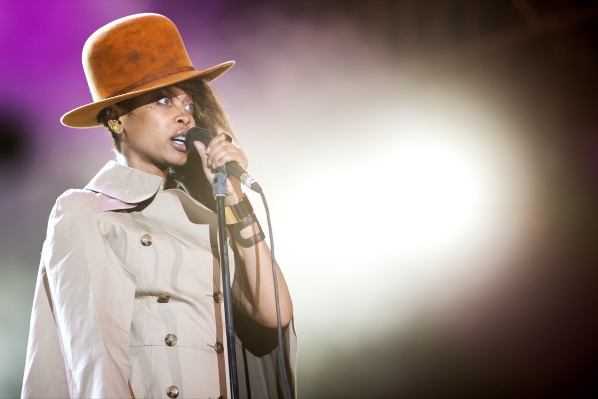 vegan celebrities - NOVI SAD, SERBIA - JULY 14: Erykah Badu performs at EXIT 2012 Music Festival, on July 14, 2012 at the Petrovaradin Fortress in Novi Sad, Serbia. - Image