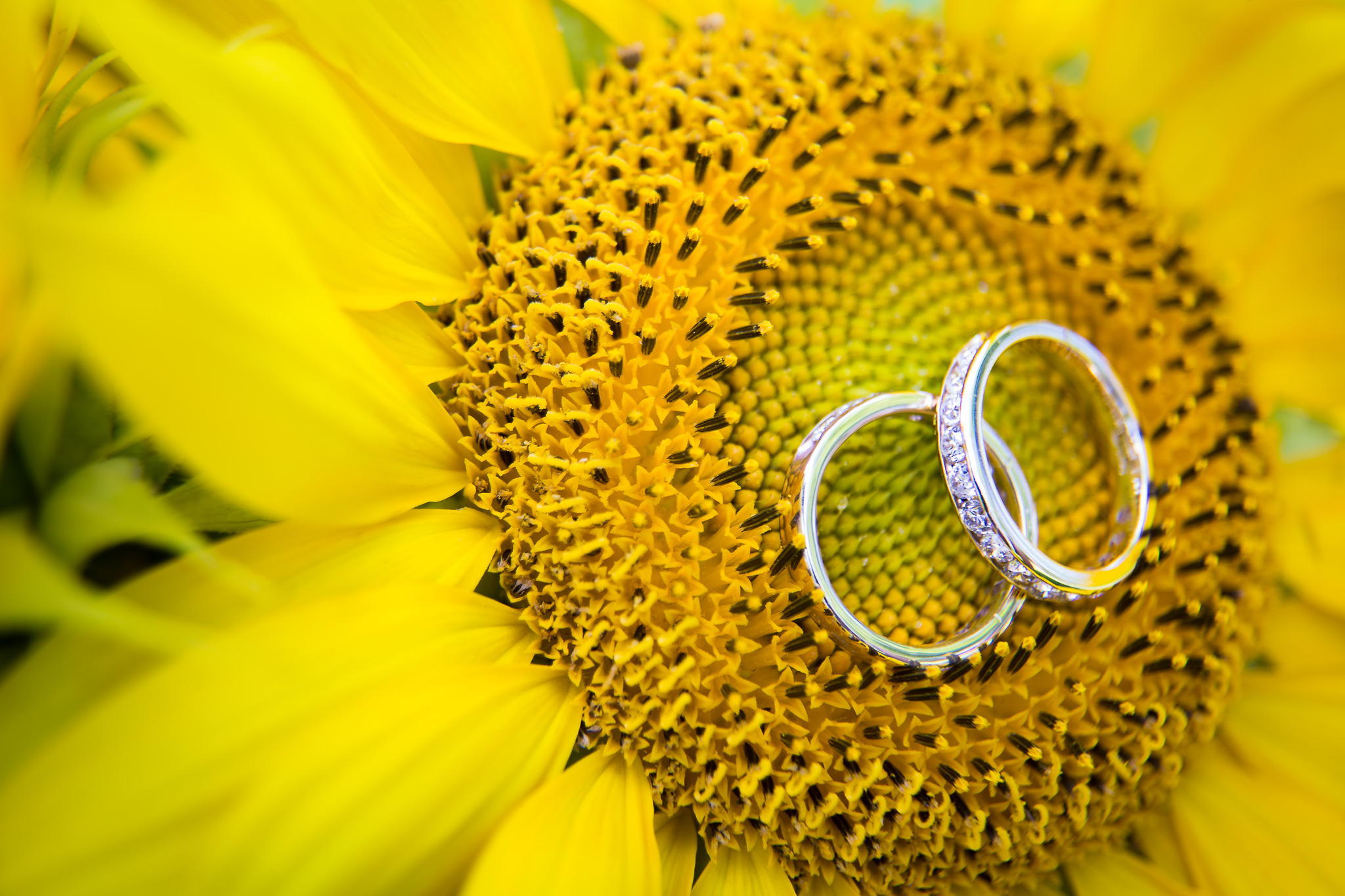 Sunflower Wedding- 10 Awesome Tips