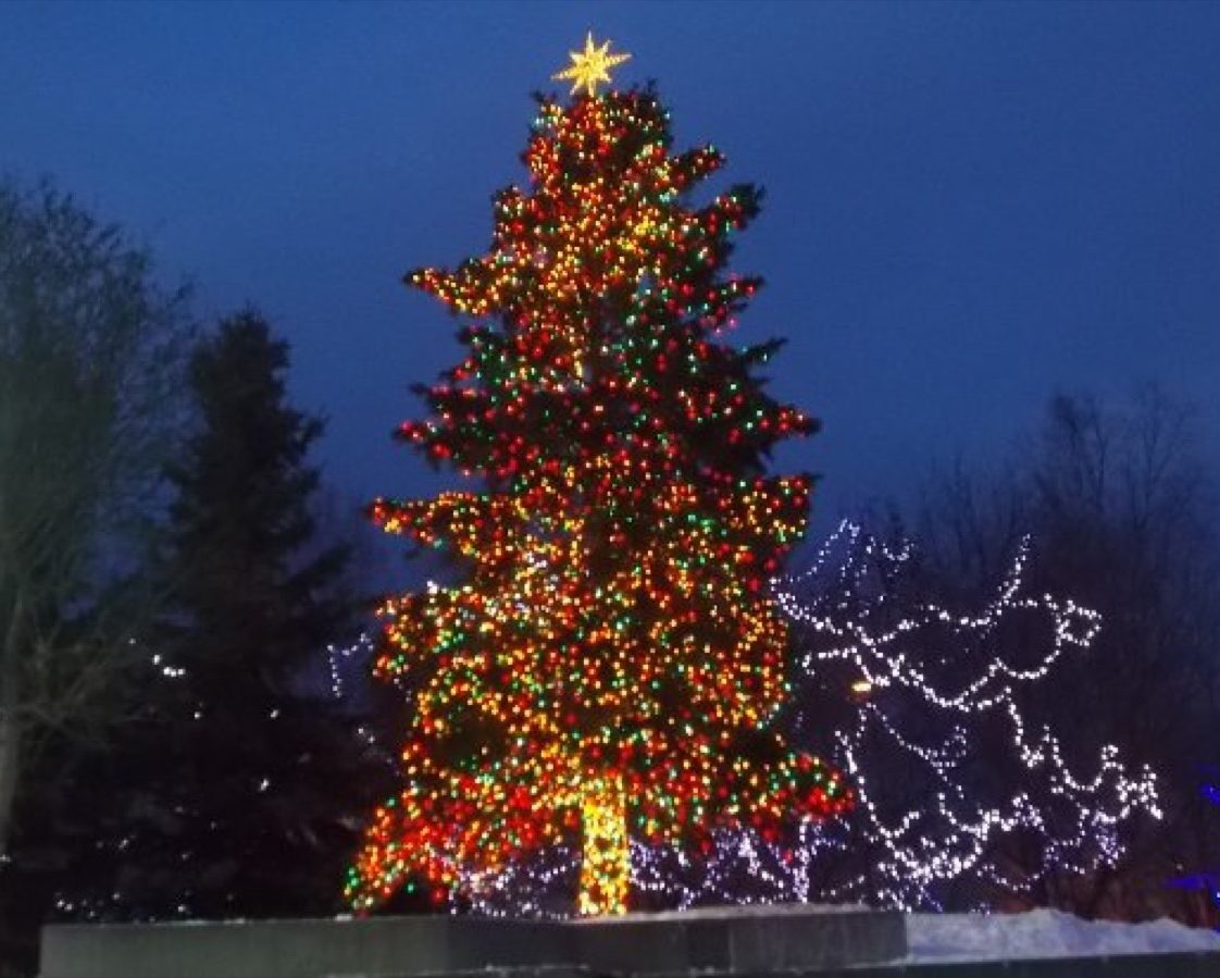 Anchorage Alaska State Christmas Tree 