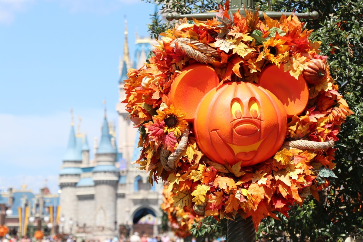 not so scary mickey mouse pumpkin carving in disneyland