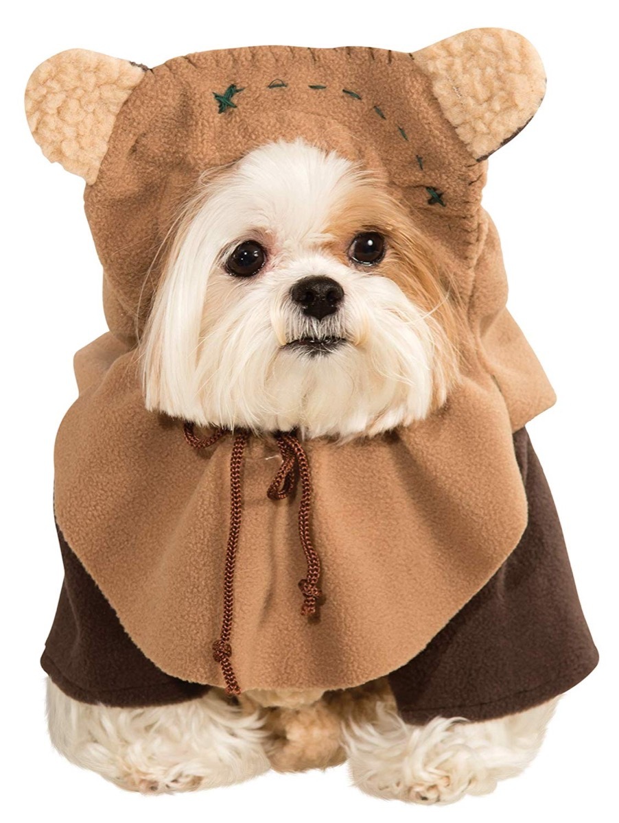 dog in ewok costume, dog halloween costumes