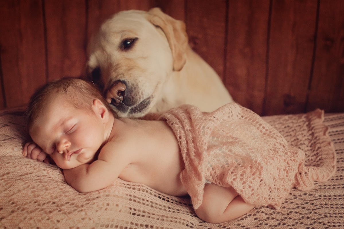 Dog comforting sleeping baby