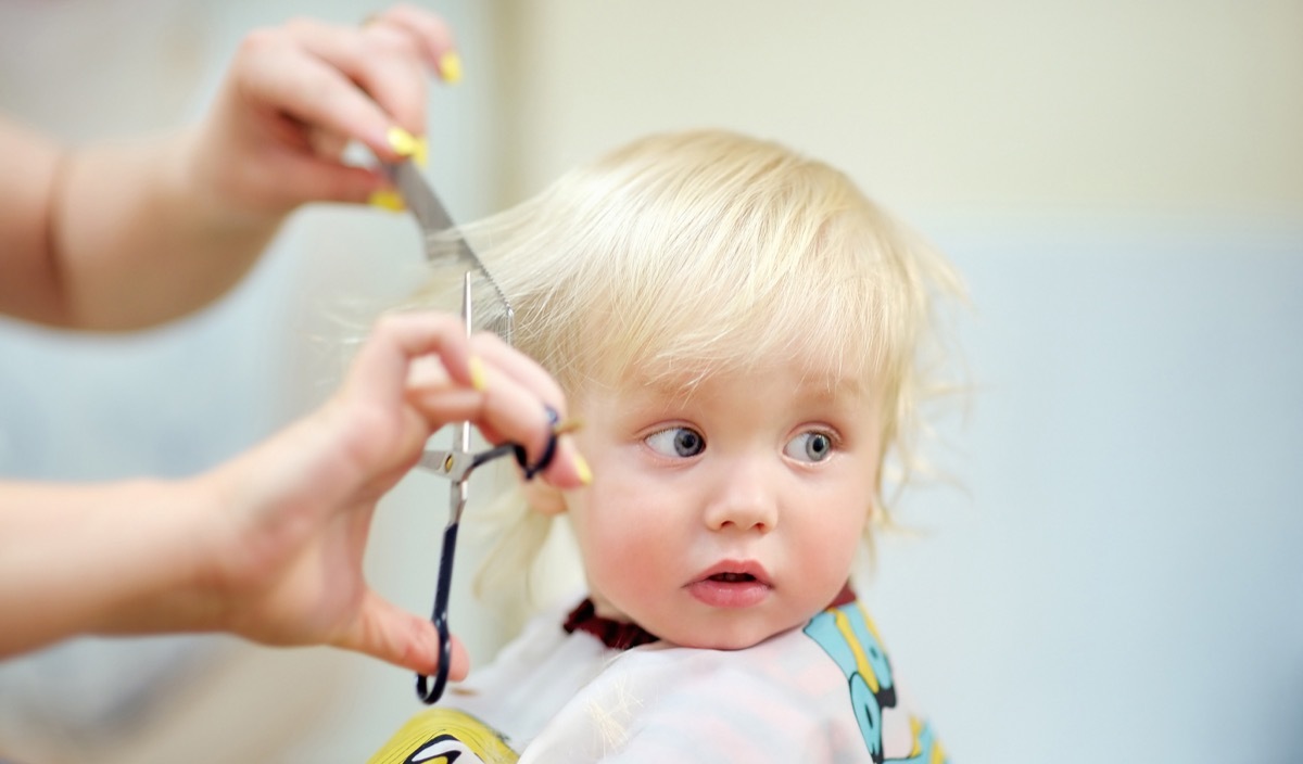 Close up portrait of toddler child getting his first haircut