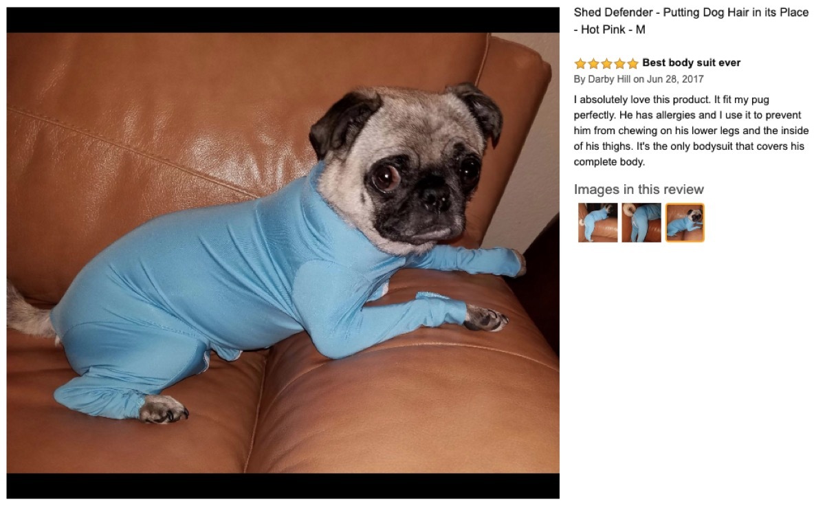 Pug Onesie