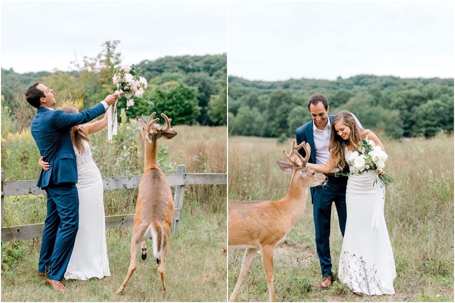 A Wedding Photoshoot To Remember Gets Interrupted By A Deer #4 | Her Beauty