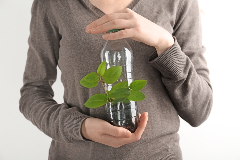 woman holding plant