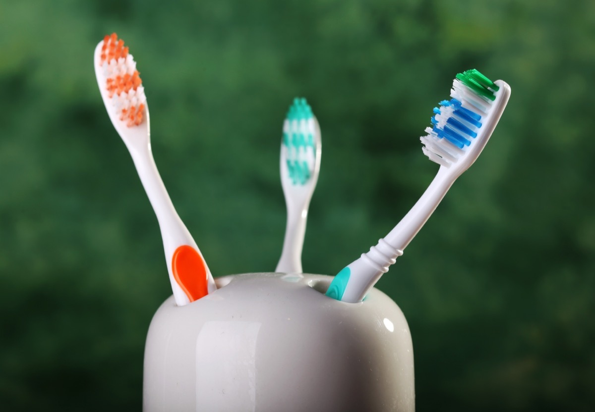 Toothbrushes in a ceramic holder