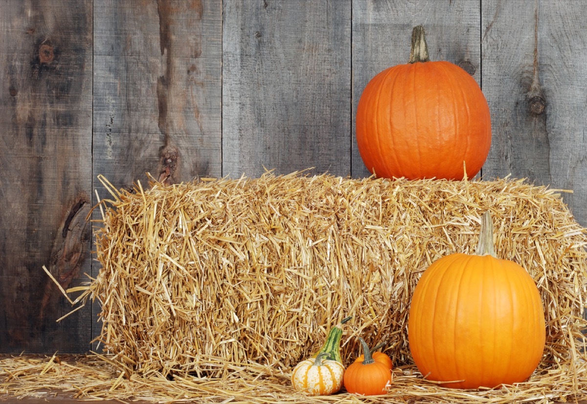 hay bales and pumpkins, fire prevention tips