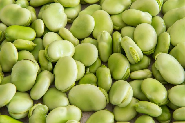 Image result for lima beans