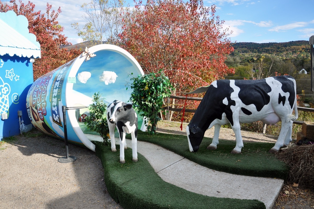 ben & jerry's ice cream factory in waterbury vermont, iconic state photos